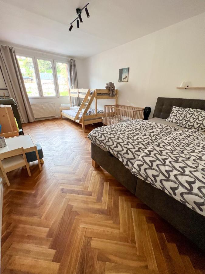 Apartman Visek Jachymov Ngoại thất bức ảnh